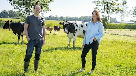 Het melkvee van Armando Kok in De Glind (Gld). De Schoonderbeekhoeve houdt al 30 jaar de kalveren bij de koe.