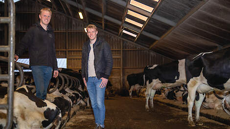 Melkveehouders Aart (rechts) en Dirk Pellikaan streven ernaar het ureum te verlagen naar 16. „Elke twee punten ureum die je naar beneden gaat, scheelt 1 kuub mest per koe per jaar.”