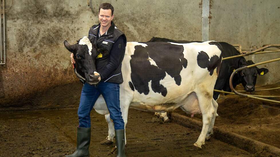 Ard van Veen heeft een voorkeur voor koeien die probleemloos oud worden.