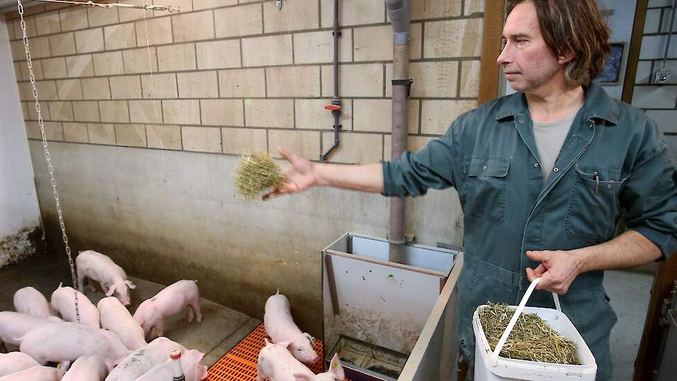 Varkenshouder Jan Vogels: „Het is misschien toch wel belangrijk dat ik de griepprik aan iedereen in ons varkensbedrijf beschikbaar stel. En zelf ook het goede voorbeeld geef.”