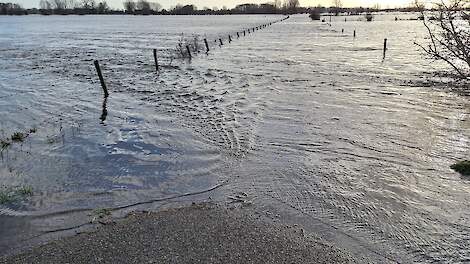 Snelstromend water in de uiterwaarden van de IJssel
