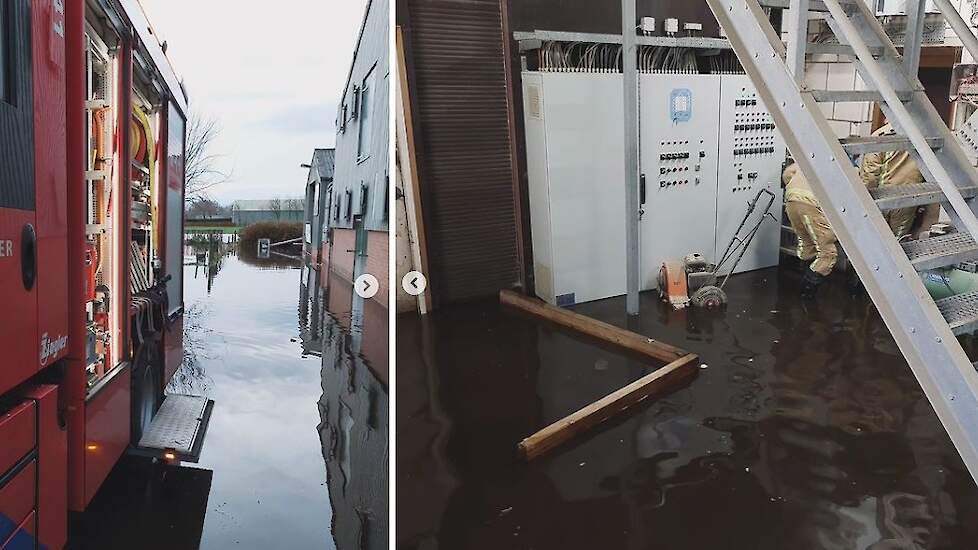 Een pluimveestal in Ysselsteyn (LB) is gisterochtend na de hevige regenval van afgelopen dagen onder water gelopen.