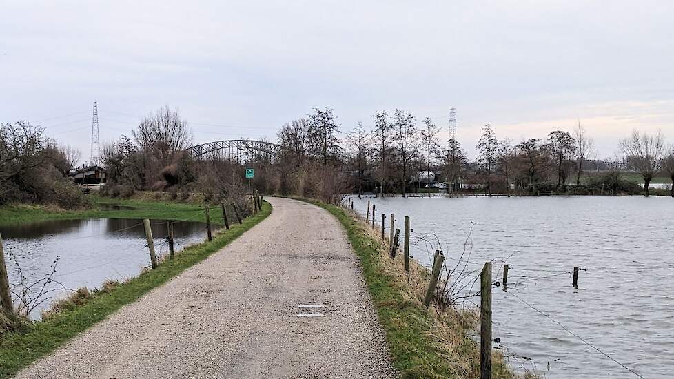 Hoogwater van de Rijn.