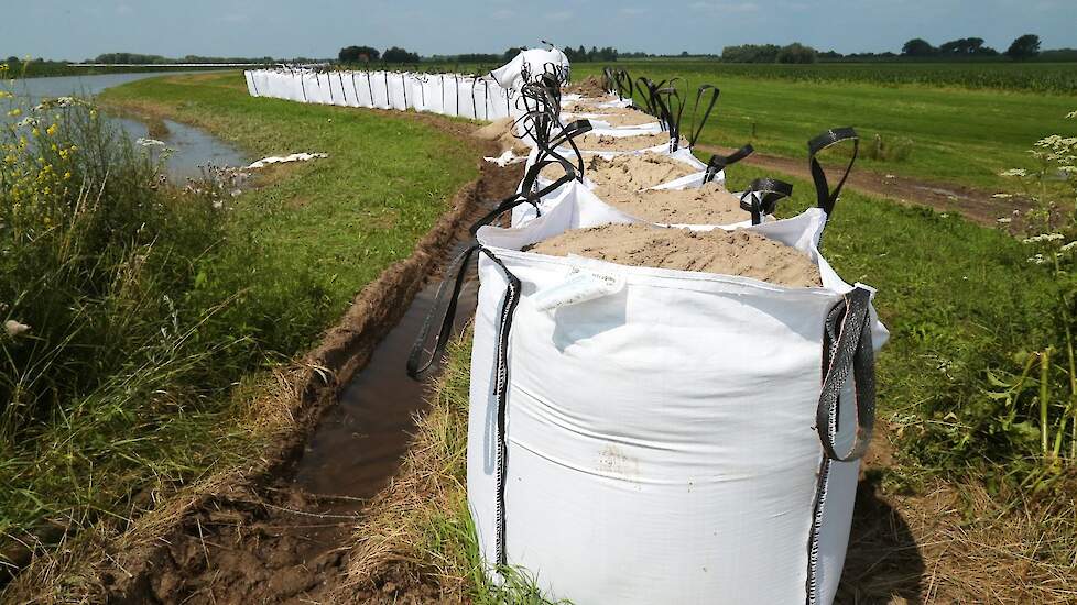 Beeld ter illustratie. Bigbags met zand moeten het water uit de Maas tegenhouden.