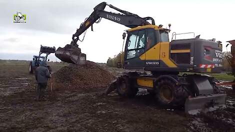 Zetmeelaardappelen op transport naar Avebe