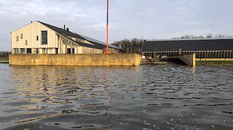 Het water staat enorm hoog bij boederij Boer'n Buffel Keizersrande.