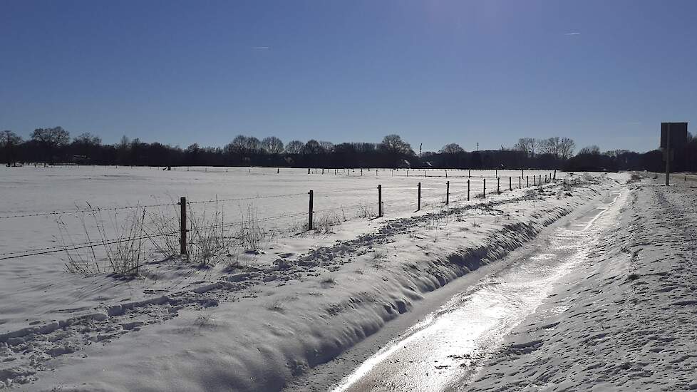 Medio februari 2021 lag er voor het laatst een pak sneeuw in heel Nederland. Komend weekend kan er in Noordoost-Nederland een laagje blijven liggen.