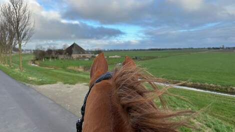 „We hebben in de Beemster een robuuste ringdijk die tegen een stootje kan."