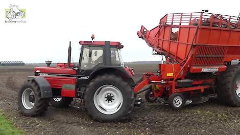 Case International 1455 XL met Unsinn Record-bietenlader