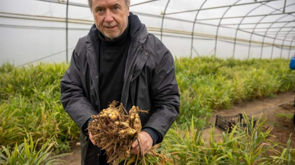 Mark van Hove, foto: vilt.be