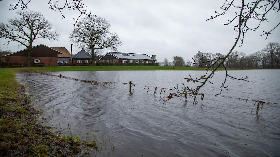 Hoogwater bij het bedrijf van Marco Kodden.