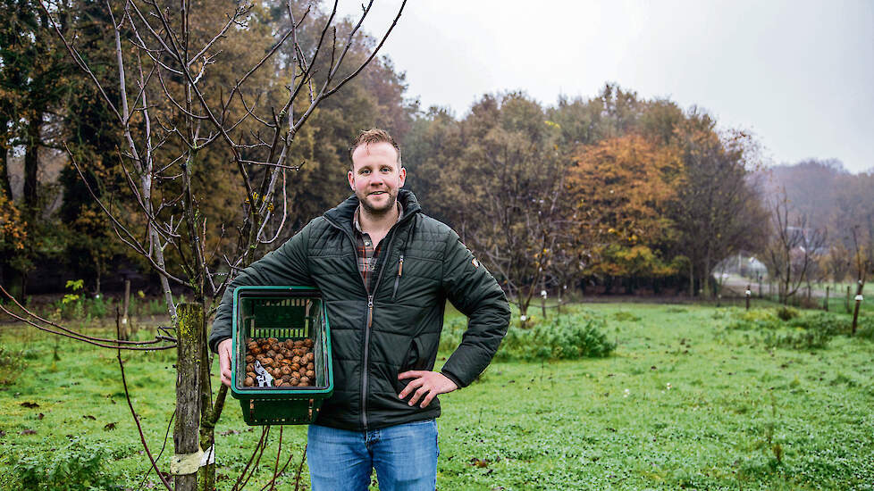 Edward Nijk heeft druivenranken in de uitloop van de kippen en laat wijn maken. „Extra inkomsten.”