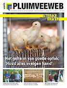 Vakblad Pluimveeweb › Editie 2024-4