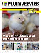 Vakblad Pluimveeweb › Editie 2024-5