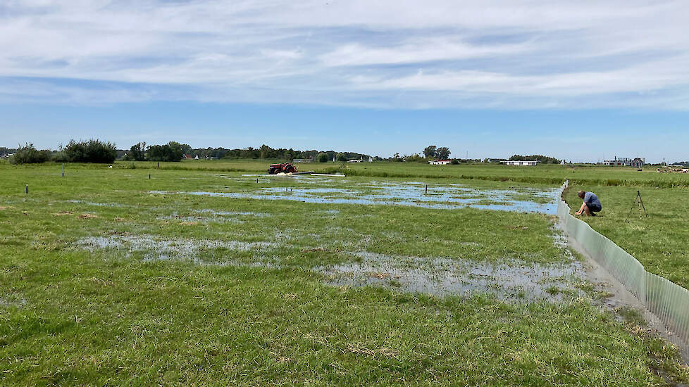 Is inundatie een goede manier om de bodemdaling op veenweidepercelen voldoende te remmen? Dat wil melkveehouder Joost van Schie de komende jaren onderzoeken.