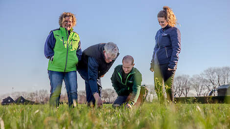 De familie Evers experimenteert sinds 2021 met het inzaaien van kruidenrijk grasland en besluit mee te doen aan het project Kruidenrijk Grasland van Aldi en FrieslandCampina.