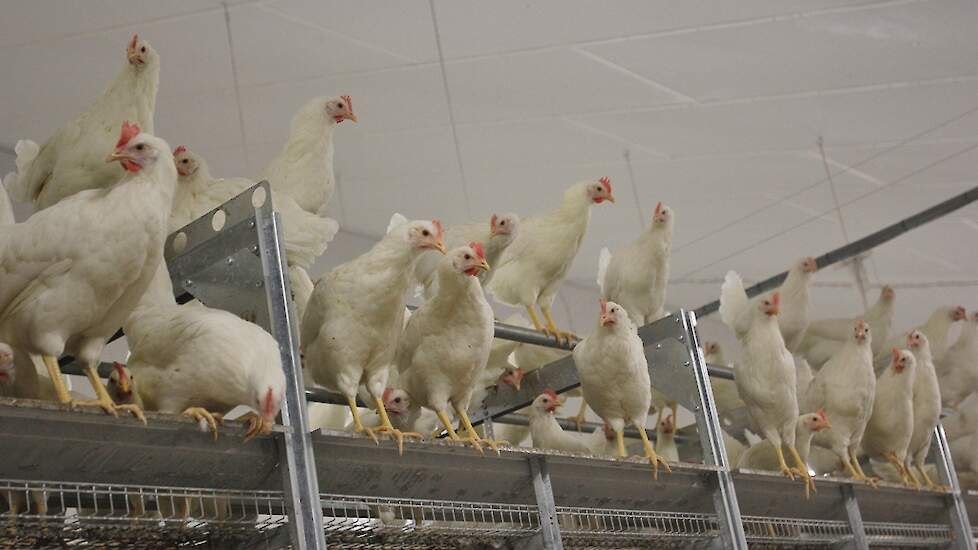 Beeld ter illustratie.