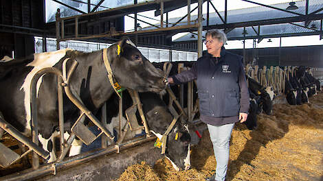 Ineke Hin runt een biologisch melkveebedrijf op Texel. Plezier in de bedrijfsvoering staat bij haar voorop.