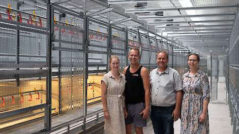 Schoondochter Esmée, zoon Evert, vader Ab en zijn vrouw Elly van Kruistum-de Greef (van links naar rechts) in hun nieuwe opfokstal voor 25.000 biologische opfokhennen op hun gemengde bedrijf in Woudenberg (UT)