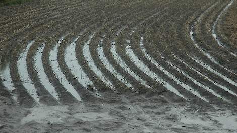 Archieffoto wateroverlast in aardappelen