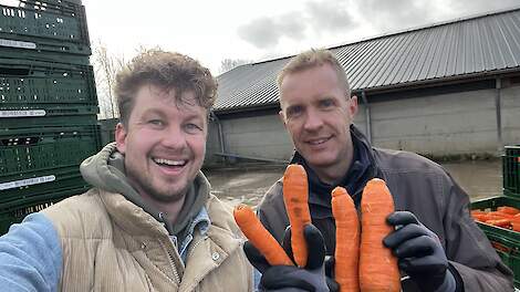 Cornelis Mosselman (rechts) met zijn 'imperfecte' wortels.