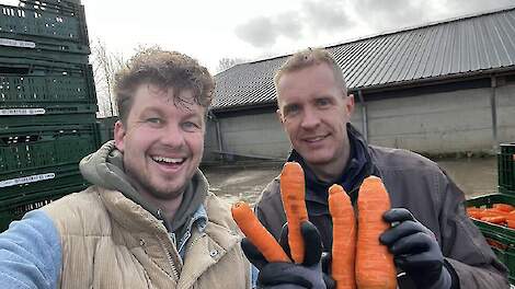 Cornelis Mosselman (rechts) met zijn 'imperfecte' wortels.