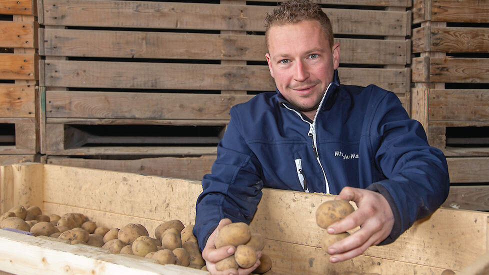 De eerste 2,5 ton voorgekiemd eigen pootgoed staat begin februari al klaar om te poten. Knook teelt 30 ton pootaardappelen voor de eigen consumptieteelt (ATR).