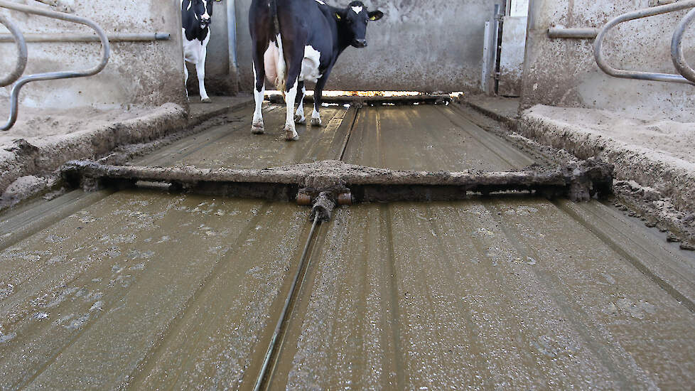 Toevoegmiddelen kunnen een mogelijkheid zijn om de emissies in de opslag van bepaalde stalsystemen te verlagen.