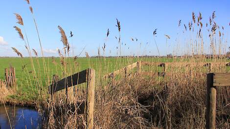 De Utrechtse polder. Afbeelding ter illustratie.