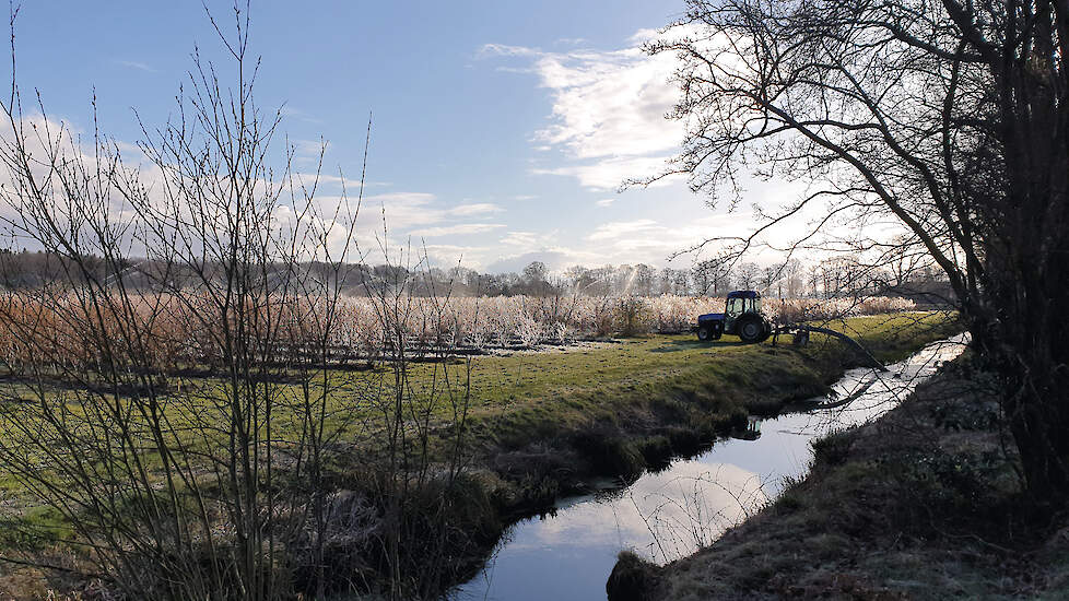 Blauwe bessenkwekerij Noorderbos biedt landelijk producten aan biologische winkels