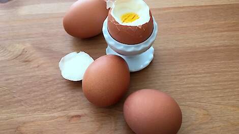 De Duitse eierconsumptie steeg vorig jaar met 2,6 procent naar 236 eieren per hoofd van de bevolking.