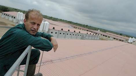 Dennis van Asseldonk (41) heeft een vermeerderingsbedrijf met 2.800 zeugen op één locatie in Spanje. In Nederland heeft hij nog twee vleesvarkenslocaties met in totaal 6.500 vleesvarkens. Eens in de drie weken reist hij met het vliegtuig op en neer.