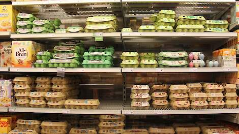 Buitenlandse retailers tonen evenals Nederlandse supermarkten steeds meer interesse in de carbon footprint van eieren. Beeld ter illustratie.
