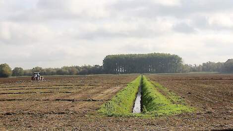 Beeld ter illustratie.