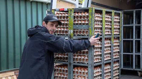 Opvolger Koen Gerrits (foto) brengt de eieren naar hun klanten.
