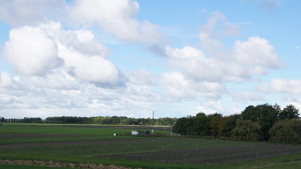 De proef met zoute kwel op proefbedrijf Kollumerwaard in Munnekezijl.