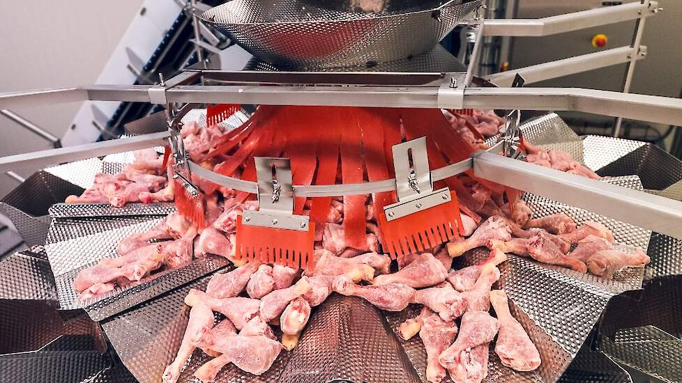 Nederlandse vleeskuikenslachterijen exporteren veel kippenpoten naar zogenoemde derde landen. Dat na terugkeer van de vogelgriepvrije status veel derde landen hun grenzen weer openen voor Nederlands pluimveevlees biedt Nederlandse pluimveeslachterijen mee