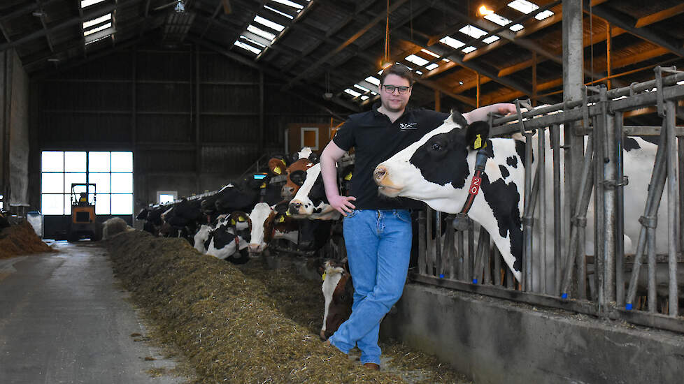 Cas Vesseur besloot twee jaar geleden het rantsoen drastisch om te gooien. Het aandeel gras groeide van 25 naar 75 procent. Het leverde hem een aardige besparing op de voerkosten op.