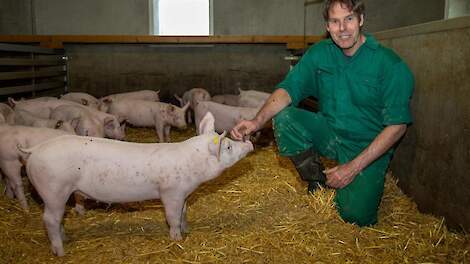Marcel Wijtten levert 3.600 varkens per jaar onder het Krullvarken-concept.