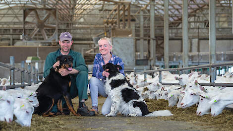 Walte en Willeke Veldman kochten in 2011 hun eerste lammeren aan en stapten over naar geiten.