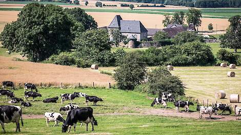 De Duitse melkveestapel krimpt sinds 2014 jaarlijks in.
