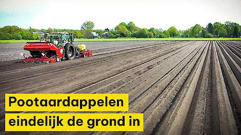 Pootaardappelen eindelijk de grond in Wijster: ‘Niet bang dat het te laat wordt’