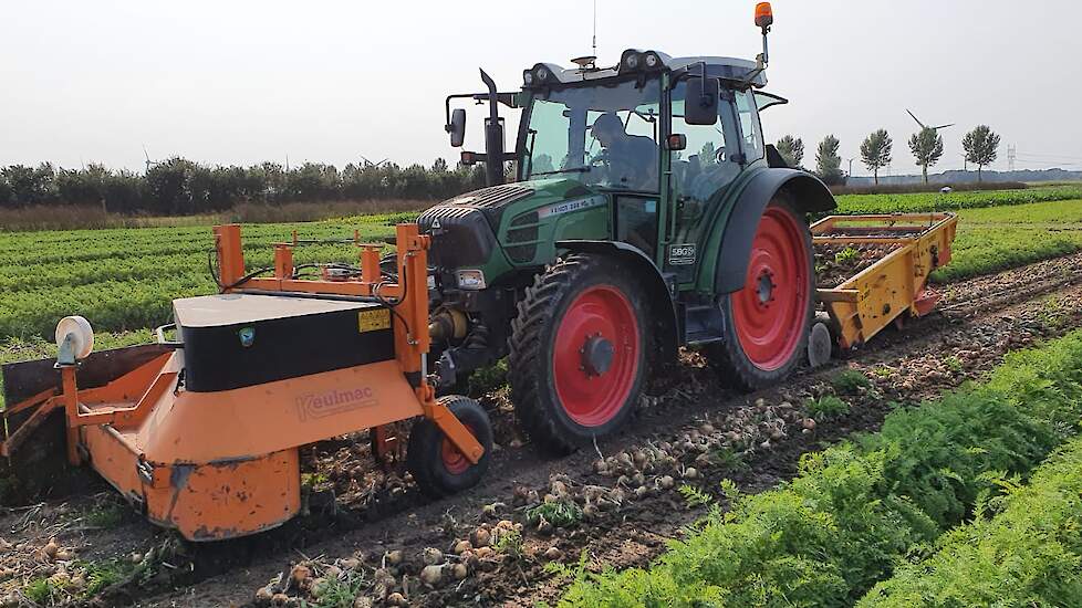 Oogsten in strokenteelt.