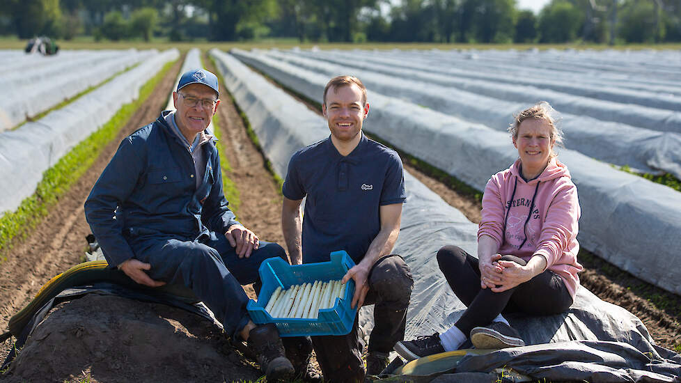 De asperges doen het goed op de Achterhoekse zandgrond.