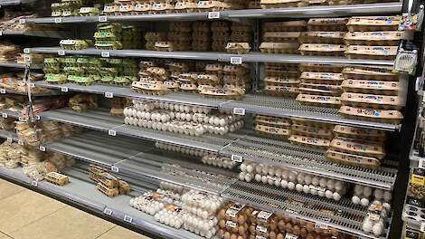Witte hennen bieden leghennenhouders veel voordelen ten opzichte van bruine. Zouden alle Nederlandse supermarkten moeten overstappen op witte eieren?
