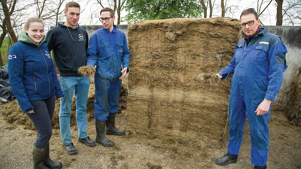 Cor Rijneveld (rechts) met zijn zoons en dochter Erik, Gerard en Lissete (van rechts naar links) bij de lasagnekuil.