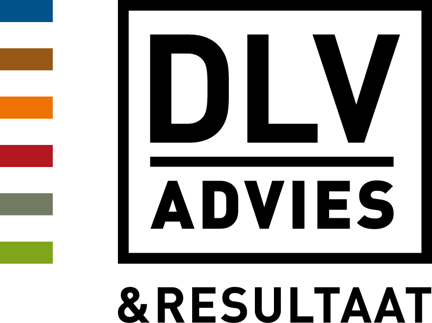 DLV Advies logo
