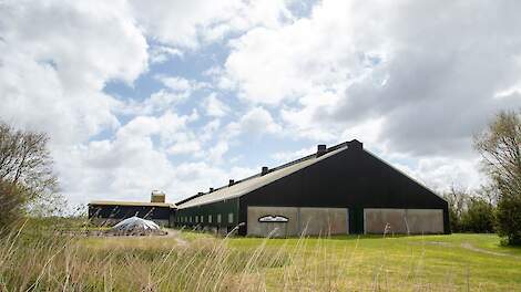 Beeld ter illustratie. Een boerderij op Texel.