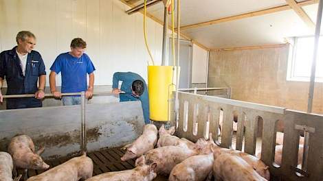 NVWA-controleur Pieter Goossens controleert de voerinstallatie onder het toeziend oog van varkenshouder Herman Krol (m) en bedrijfsleider Geert Gremmen (l).
