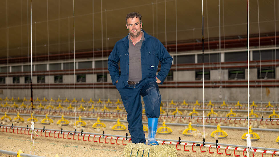 Rienk (foto) en Tabe Huizinga namen in maart hun nieuwste vleeskuikenstal in gebruik in Tzummarum.